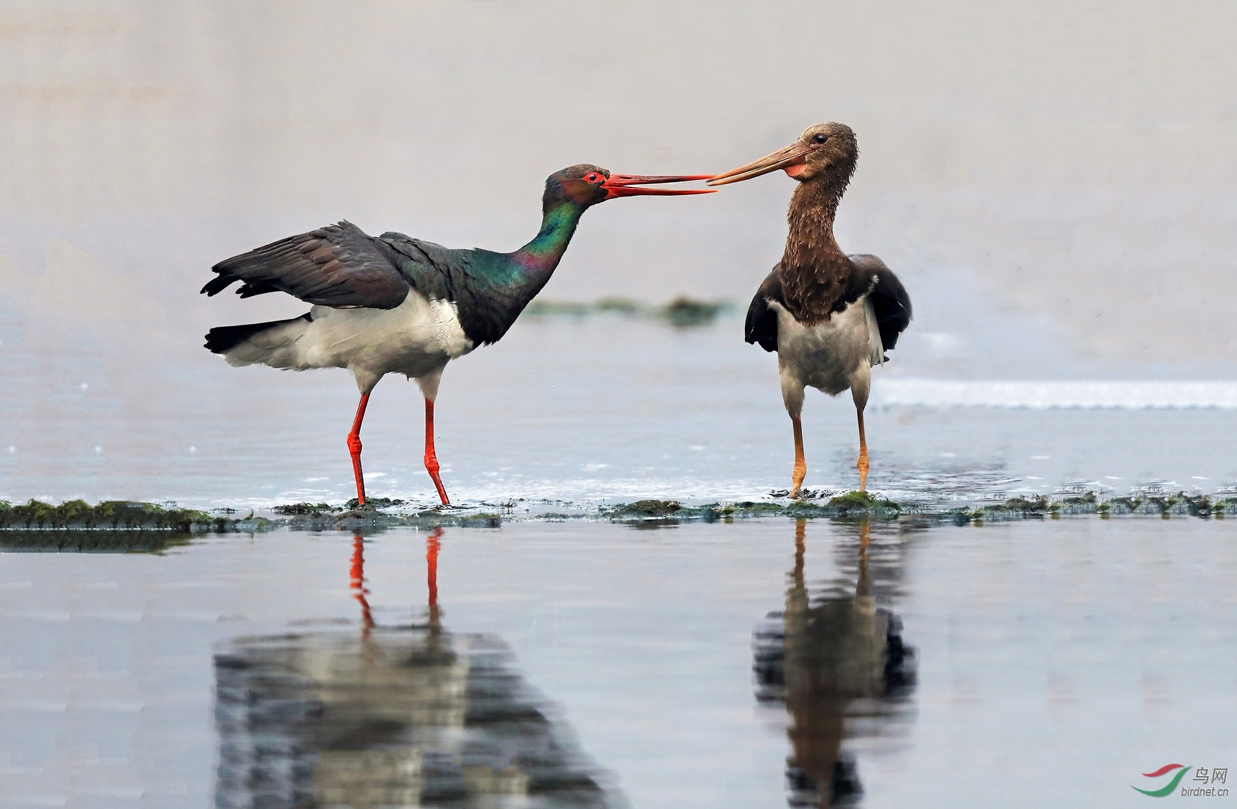 CI5A2015 - ���� - ����_����.jpg