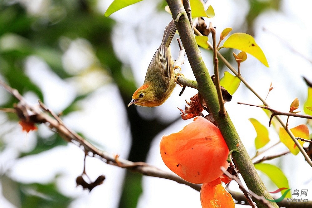 2019���� 06922.jpg