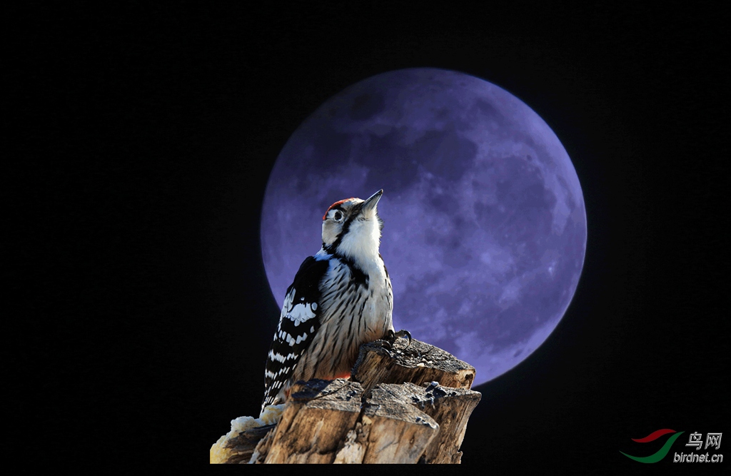 4N1B0722_���� - ����.jpg