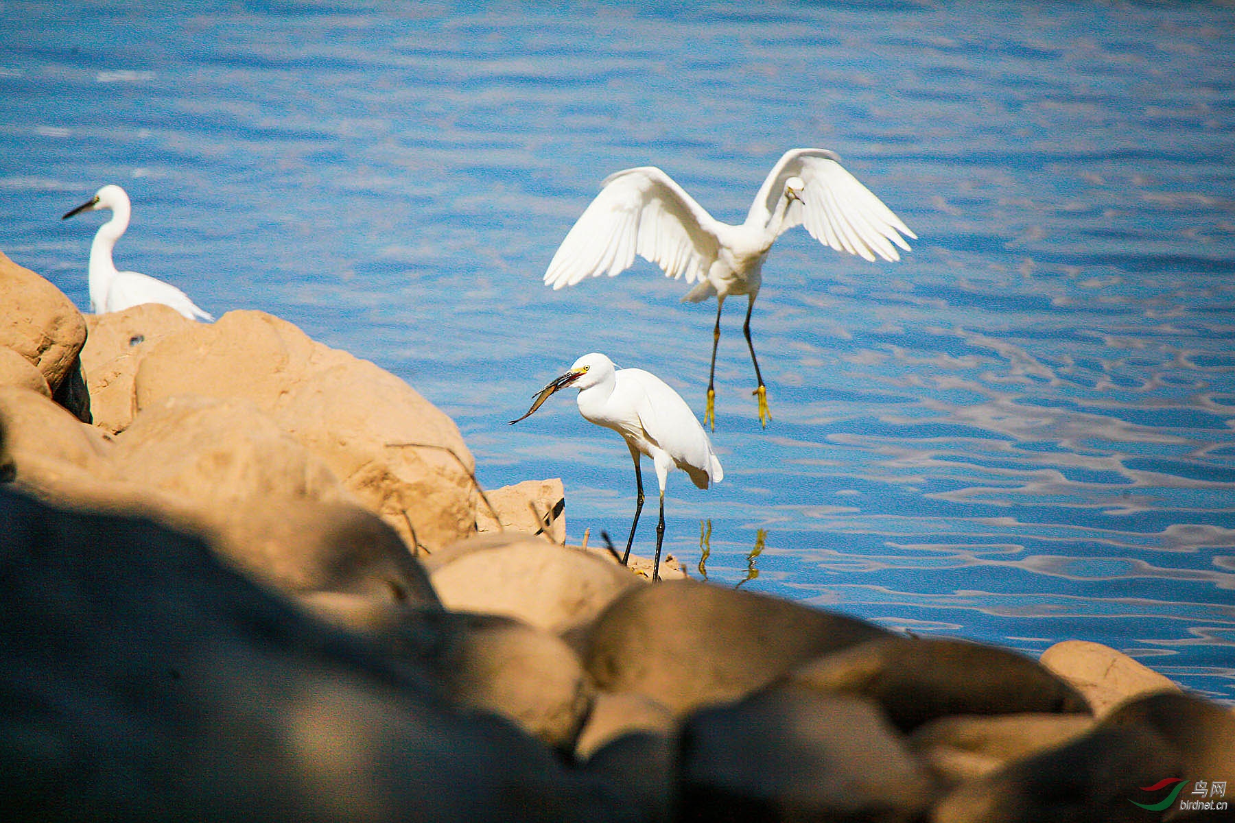 ������ǰ������ڡ�