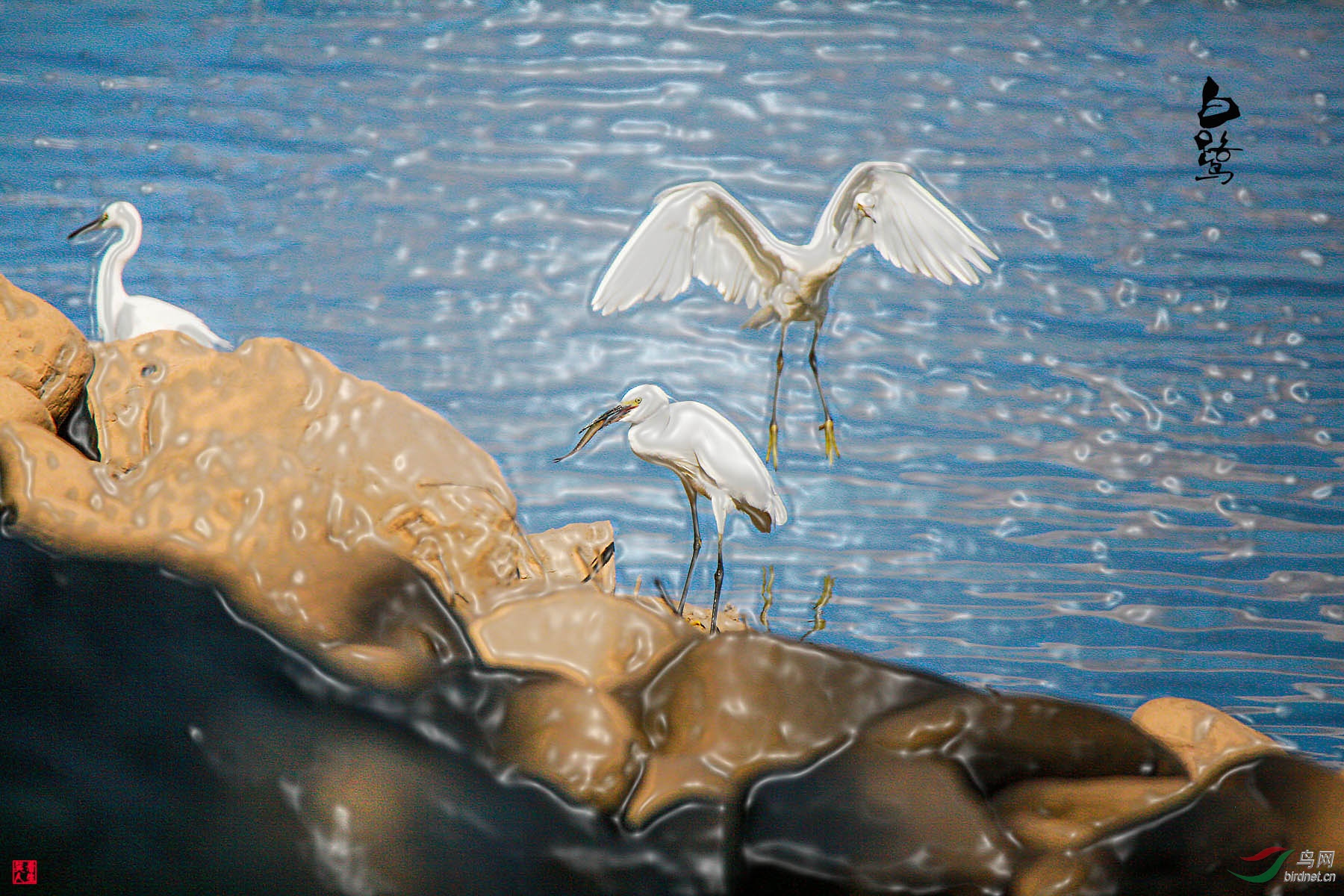 ������ǰ������ڡ�