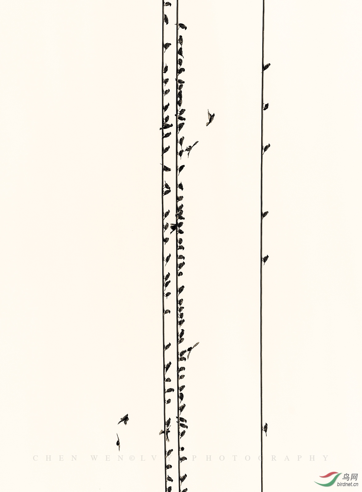 _DSC3632-1600-恢复�