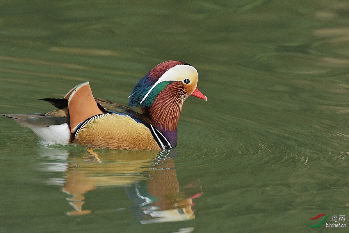 D72_3625.jpg