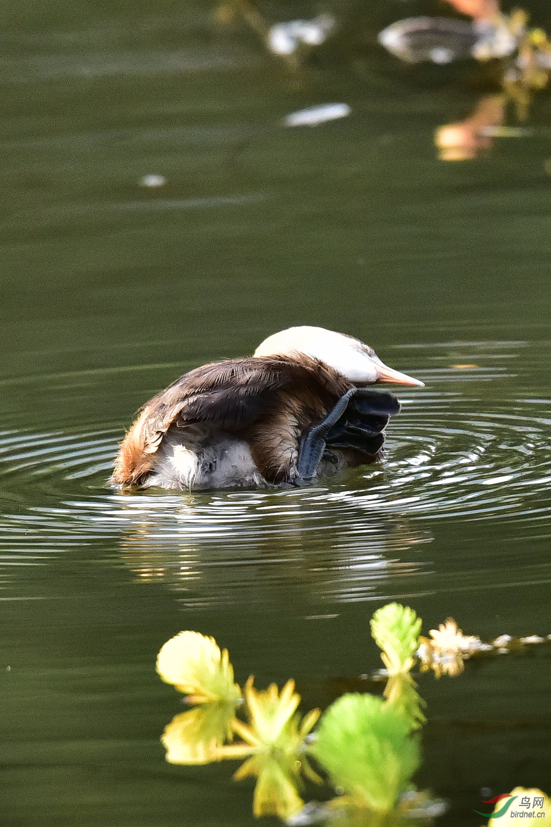 DSC_0714.JPG