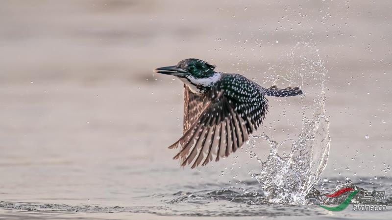 _2019012115201083 (72).jpg