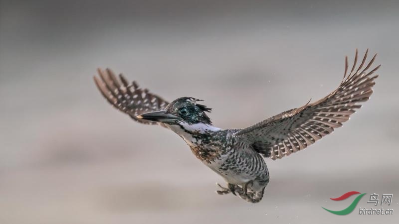 _2019012115201083 (74).jpg