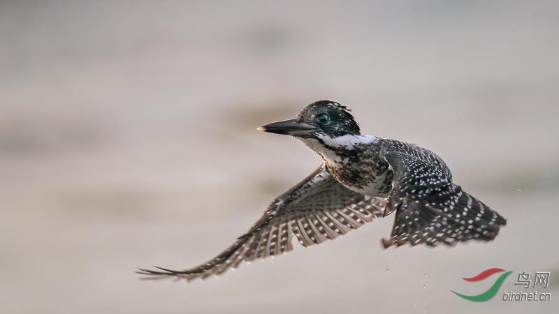 _2019012115201083 (73).jpg