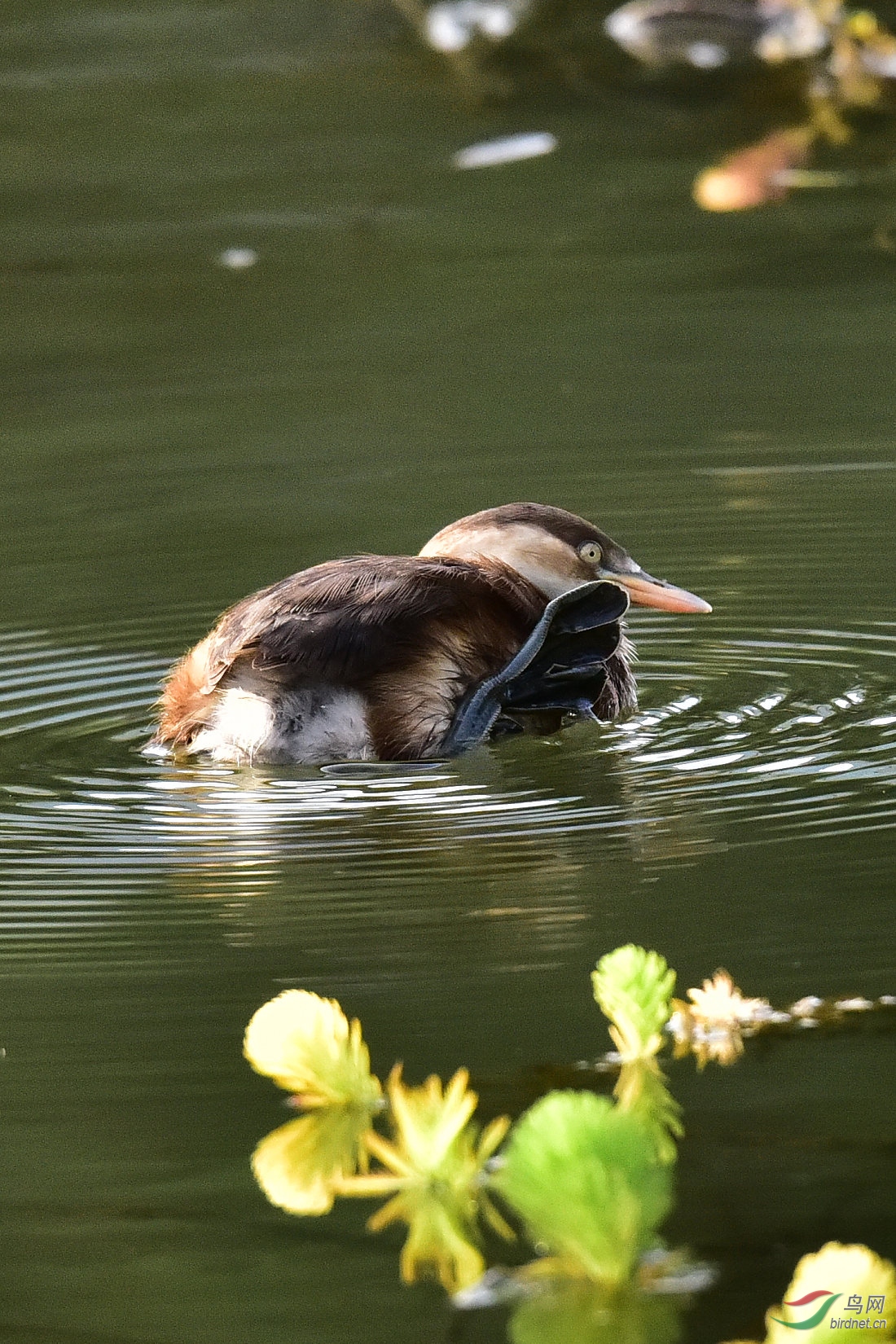 DSC_0715.JPG