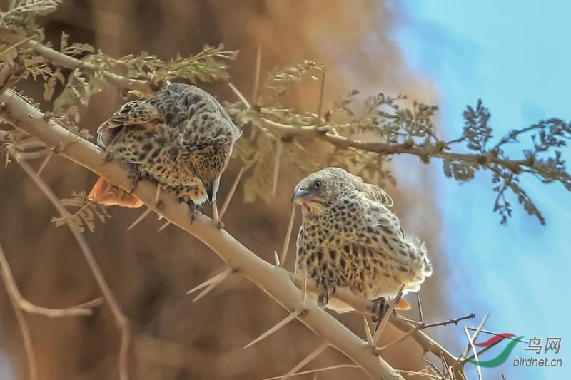 _2019012115201083 (4).jpg