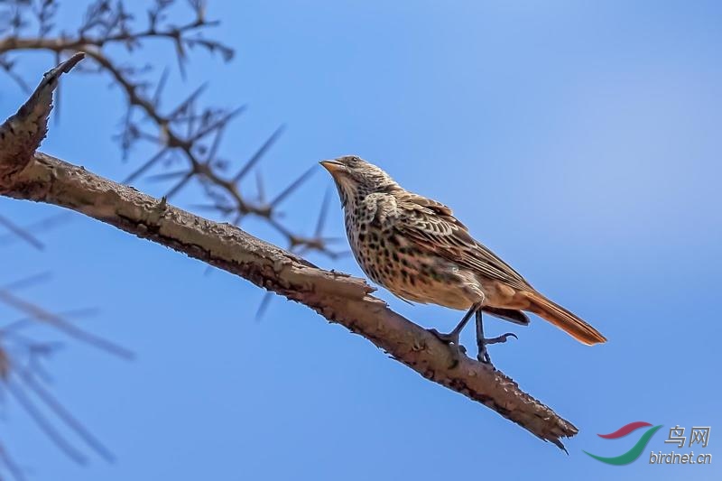 _2019012115201083 (3).jpg