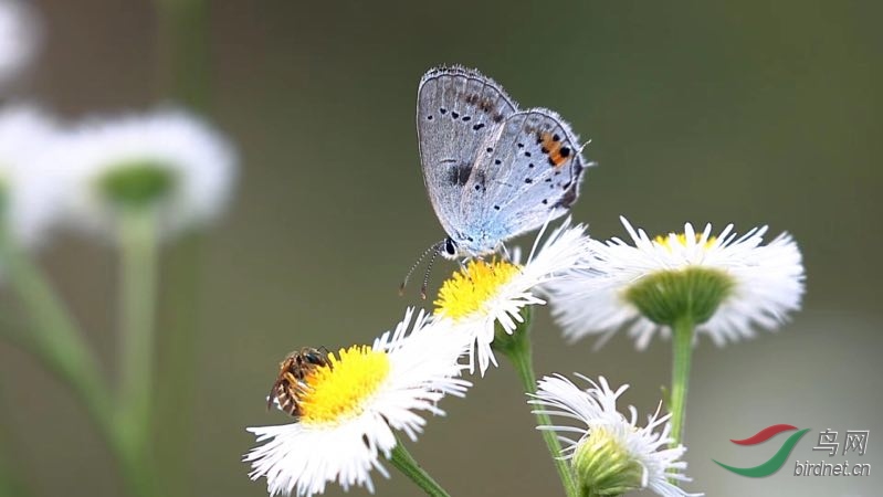 _2019012115201083 (8).jpg