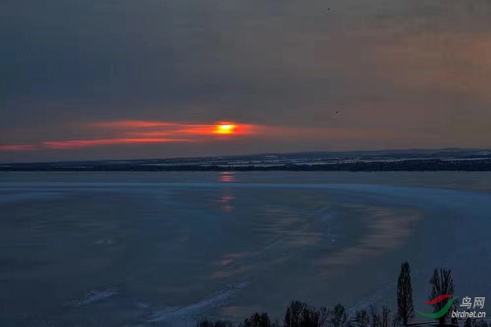 _2019012115201083 (15).jpg