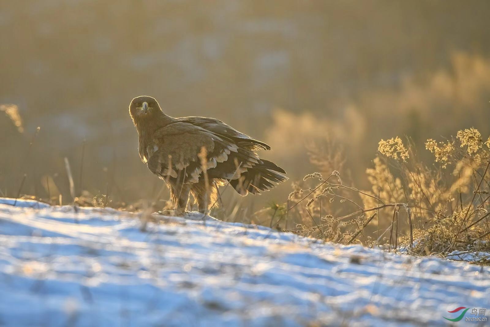 _2019012115201083 (20).jpg