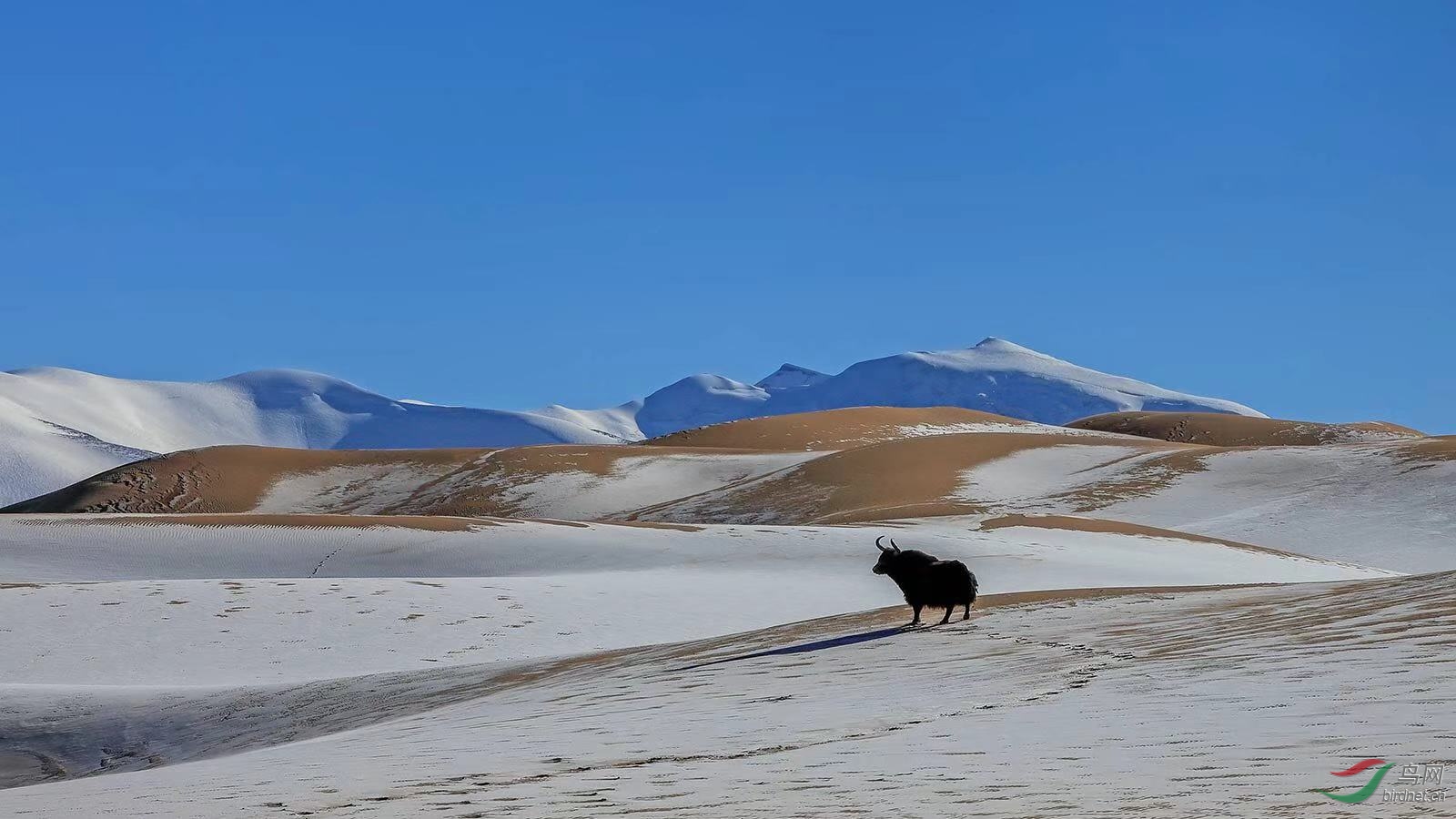 _2019012115201083 (29).jpg