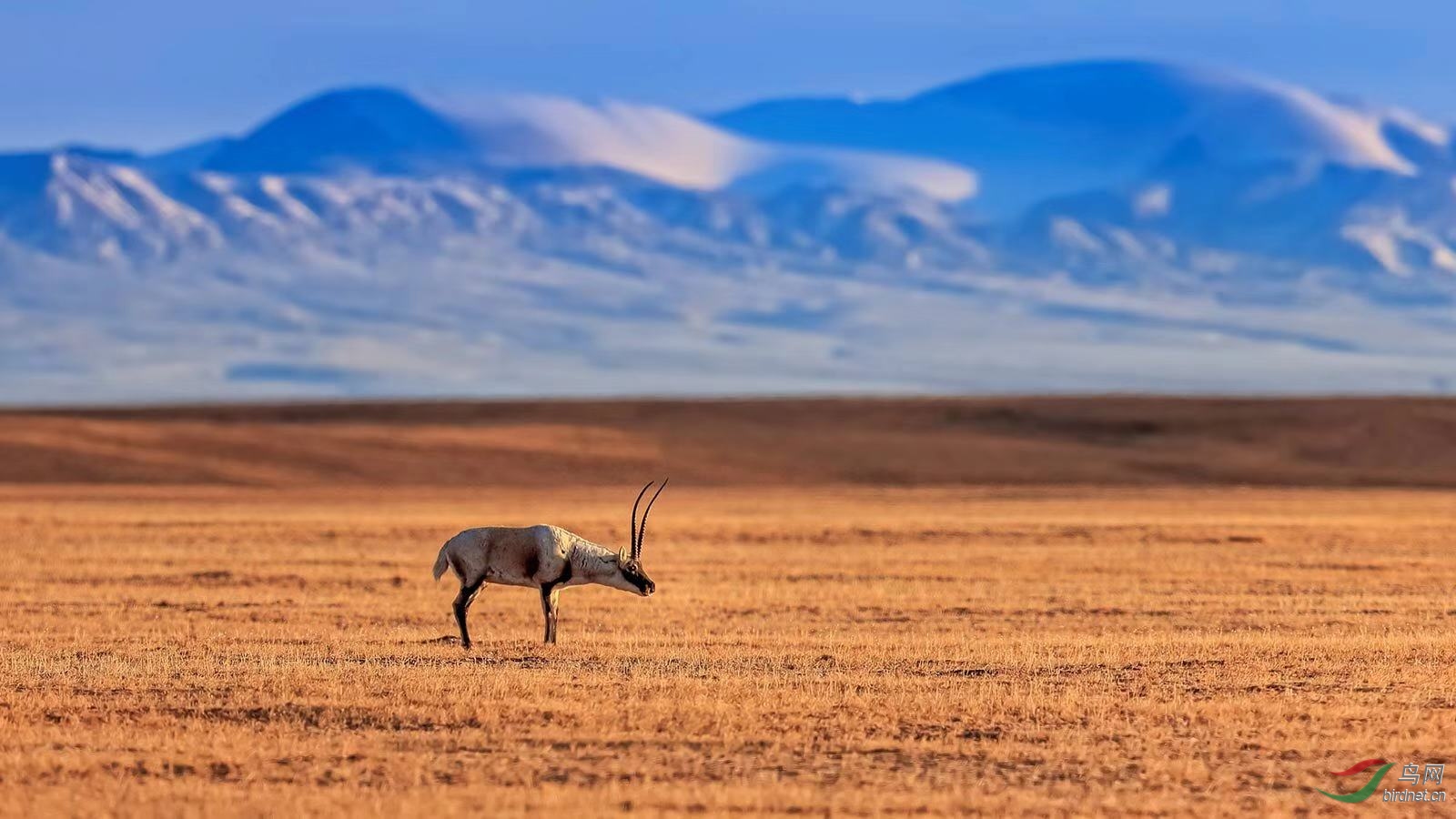 _2019012115201083 (30).jpg