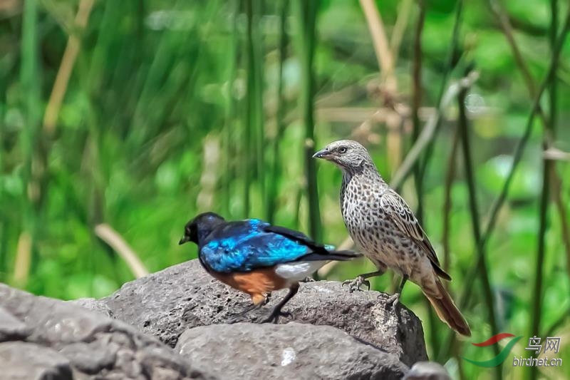 _2019012115201083 (6).jpg