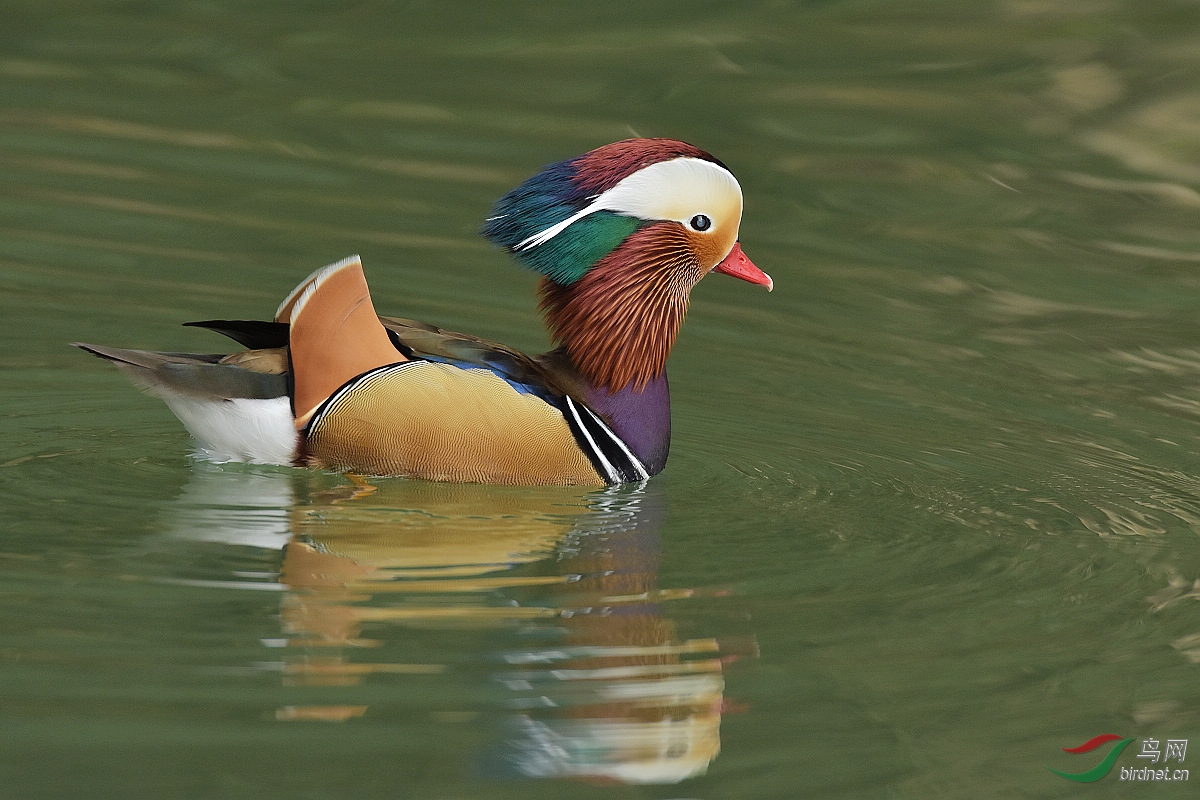 D72_3627.jpg