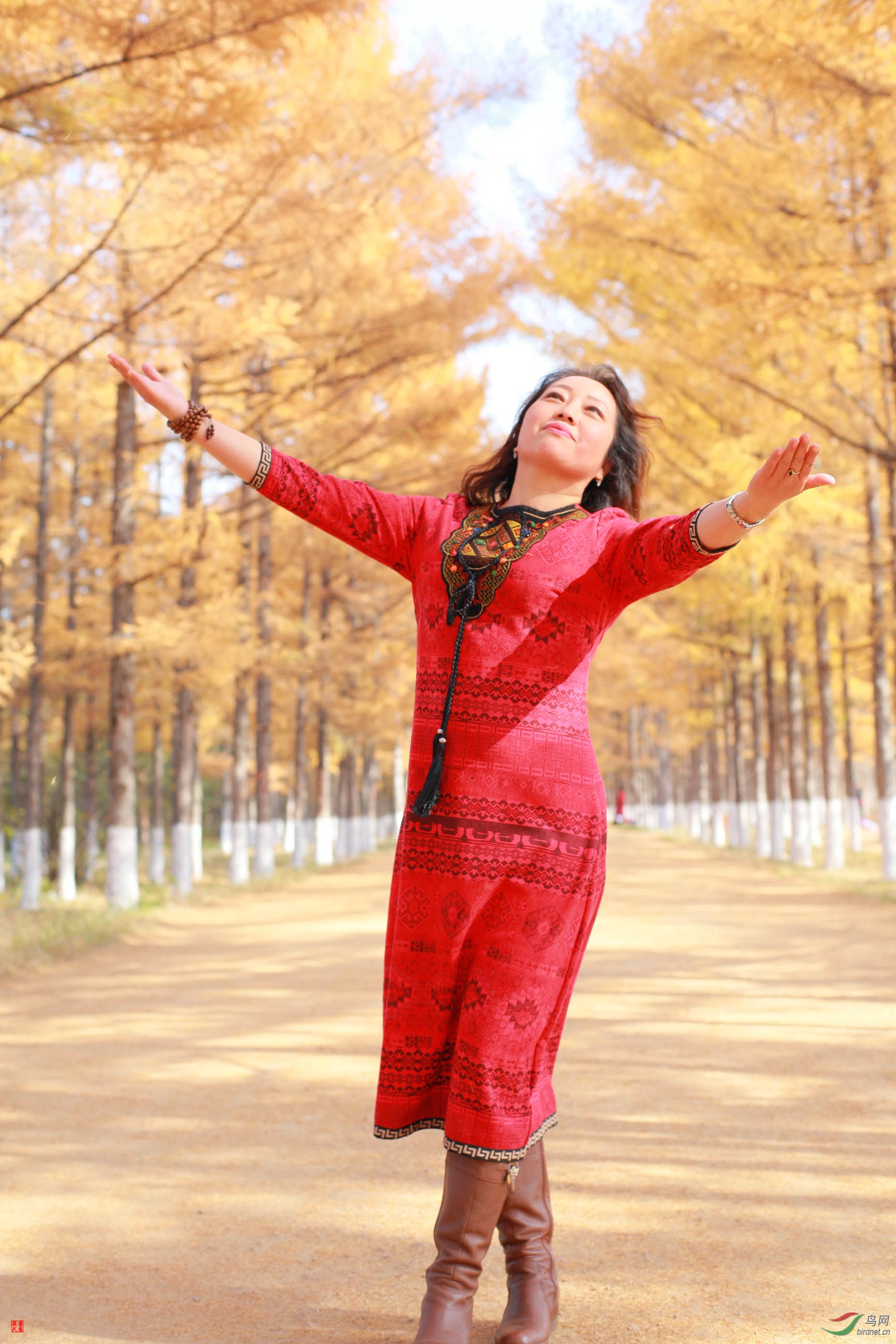 ��ϲӭ�´���