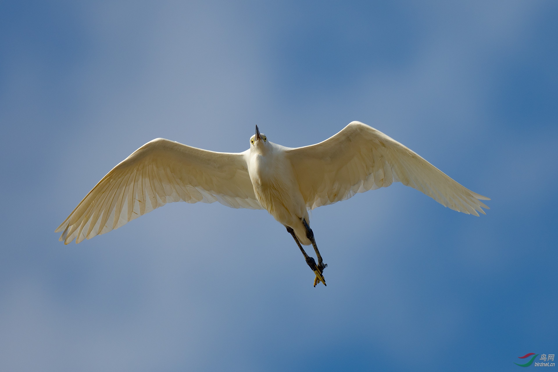 PC215561-ac.jpg