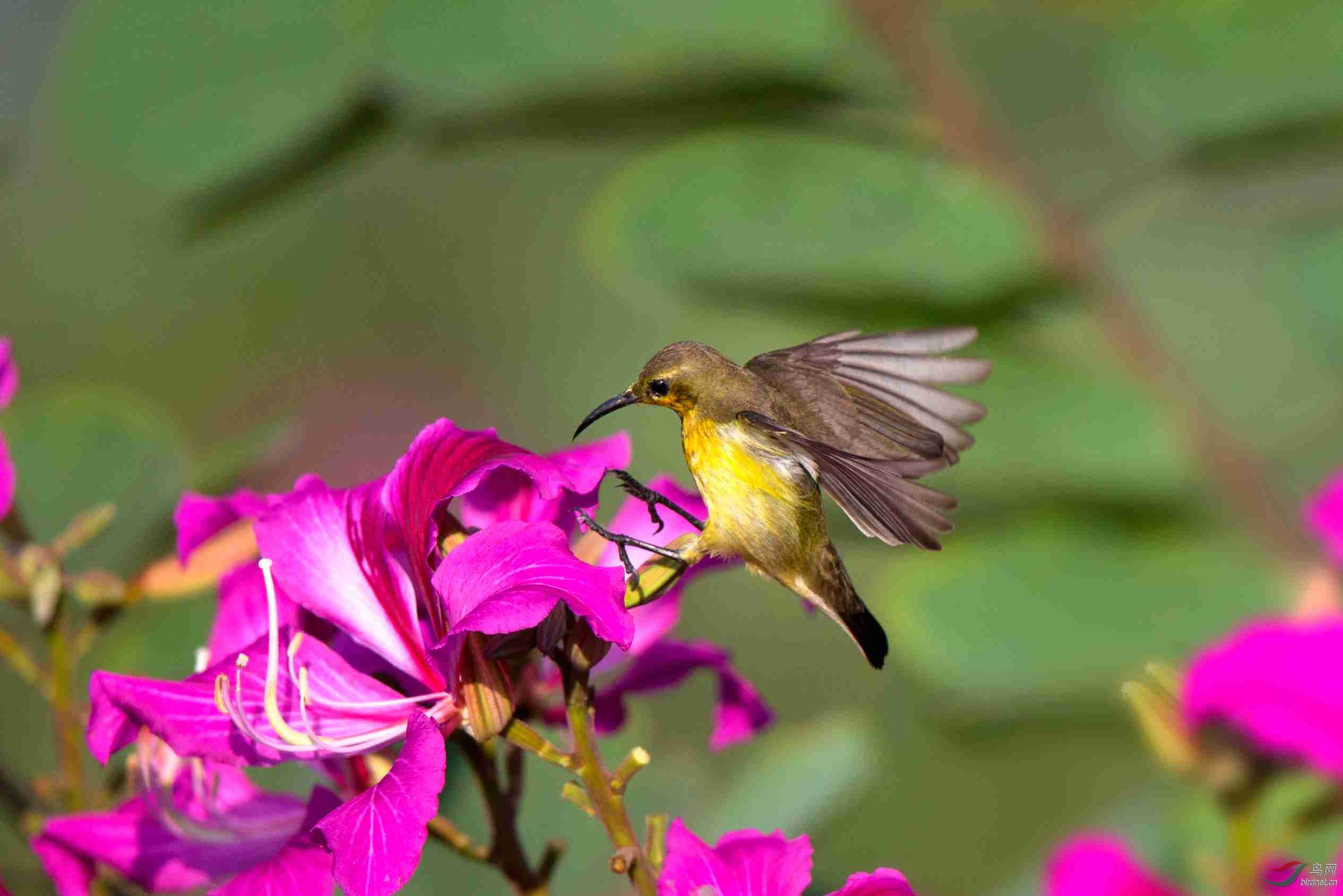 ���Ͻ���Ƹ���������ͼ (6)_����.jpg