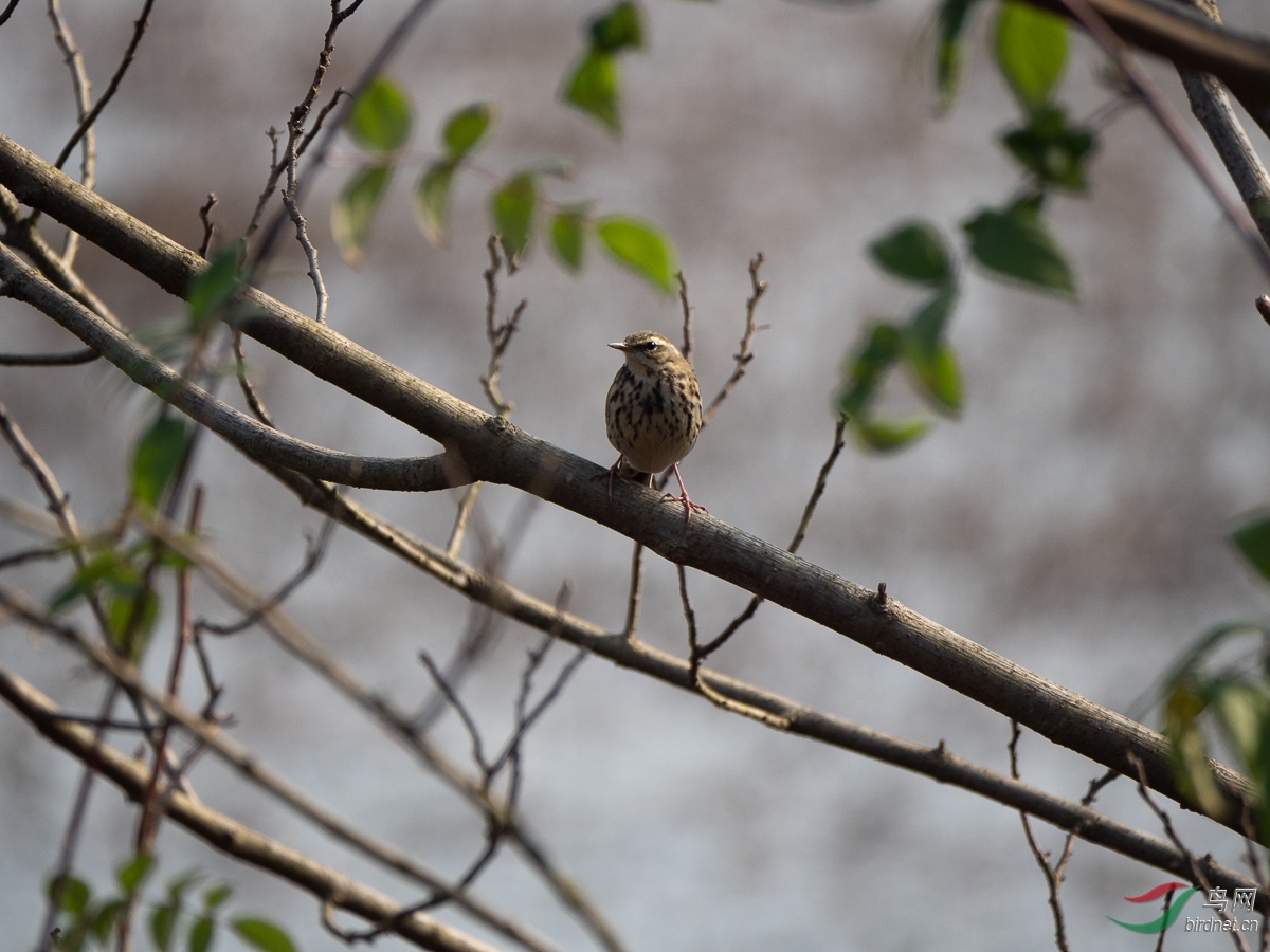 P2041843.jpg