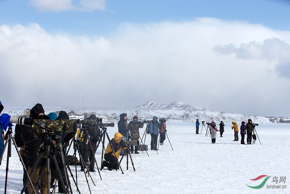 ��ѩ����� ��ѩ��Ӱ�� -12.jpg