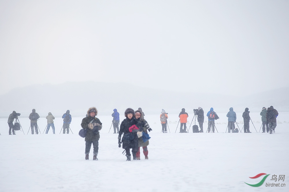 ��ѩ����� ��ѩ��Ӱ�� -18.jpg