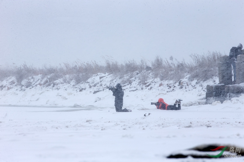 ��ѩ����� ��ѩ��Ӱ�� -15.jpg