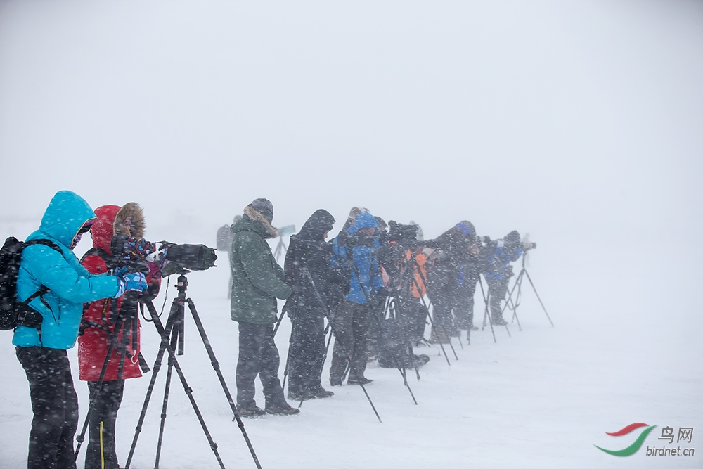 ��ѩ����� ��ѩ��Ӱ��-6.jpg