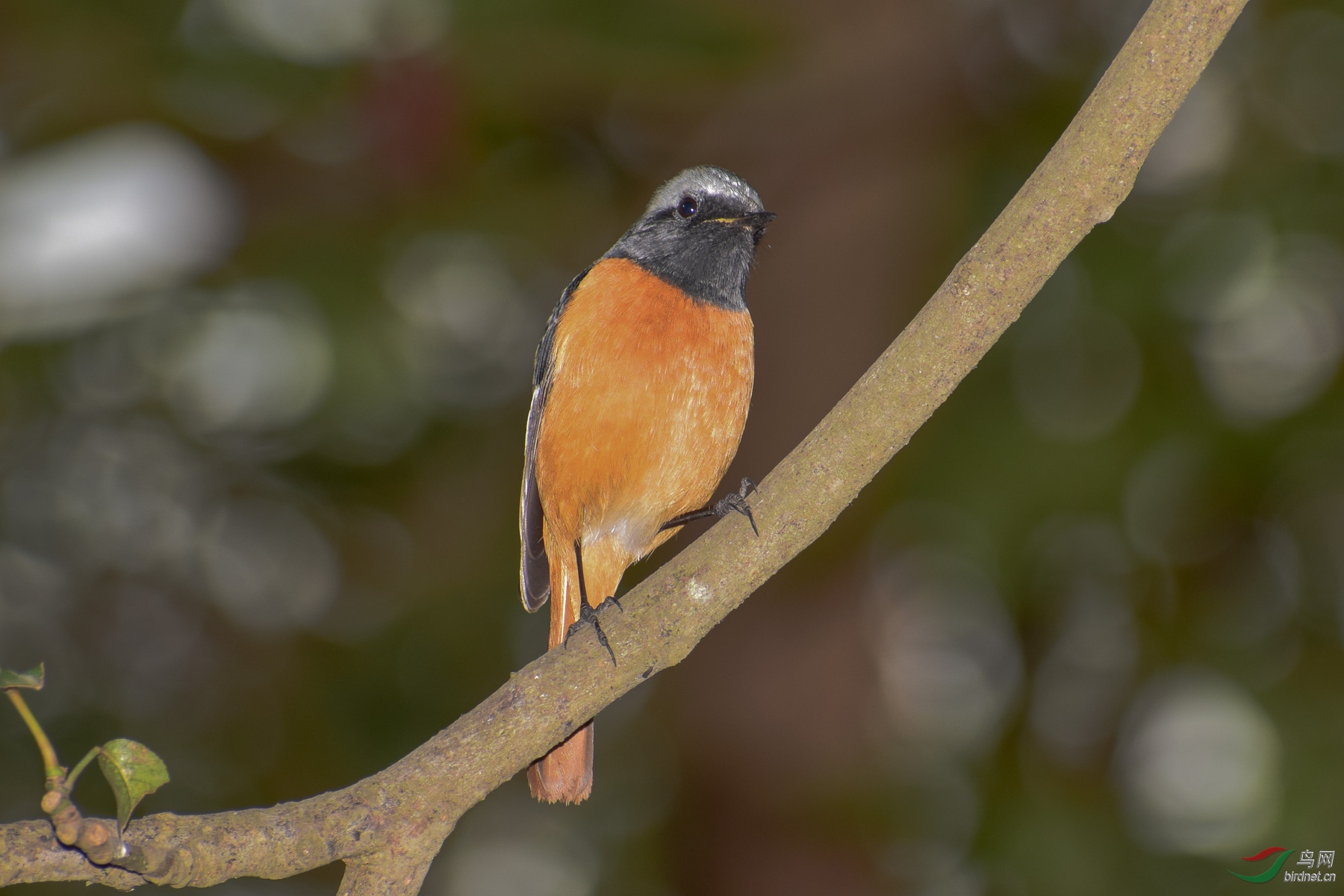 DSC_4114-2.jpg