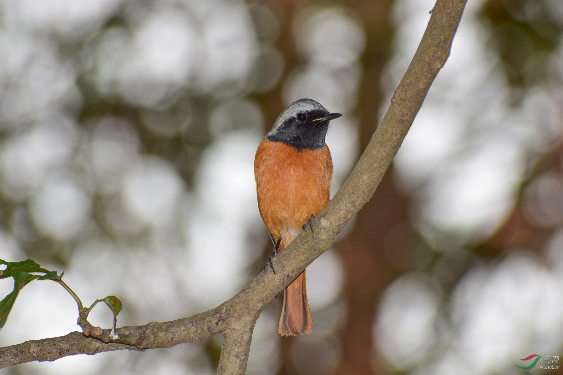 DSC_4129-2.jpg