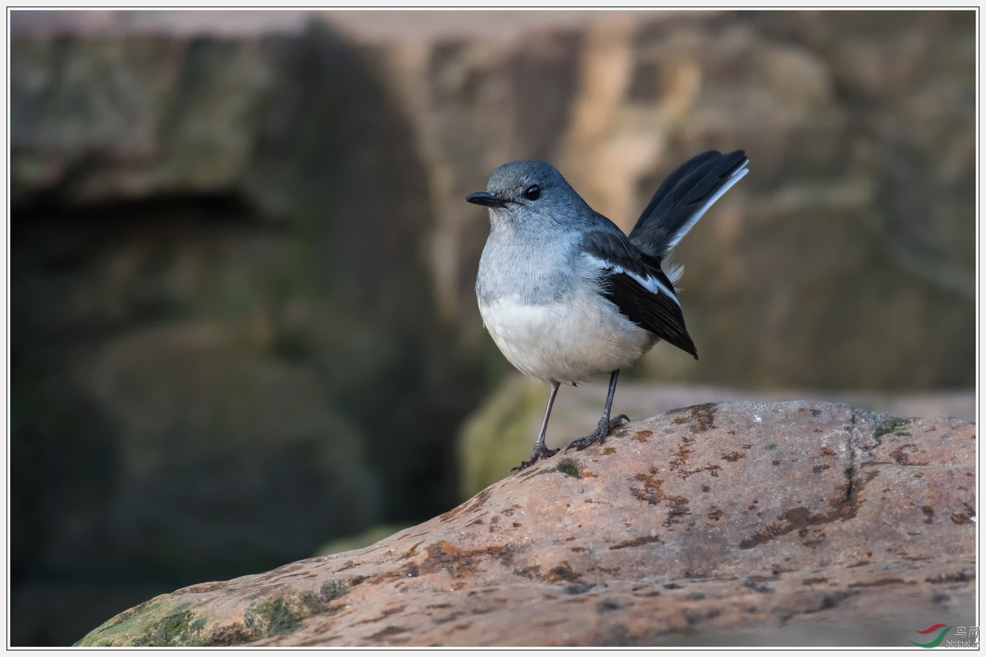 4��δ����