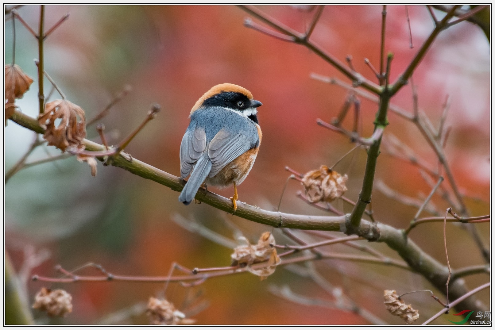 6����������