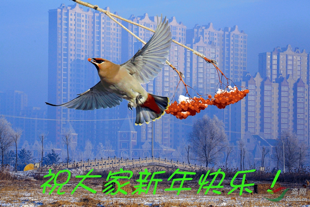 hc_����.jpg