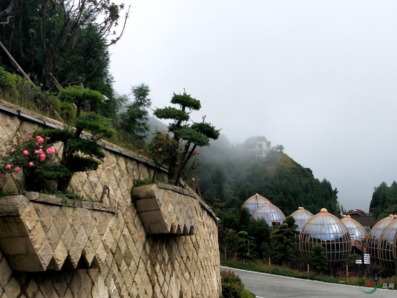 六盘水梅花山