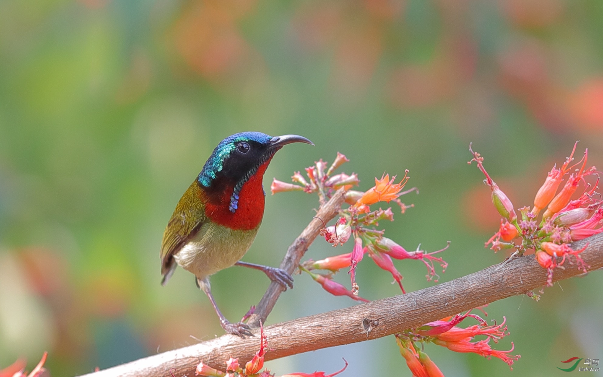 FullSizeRender (1).jpg