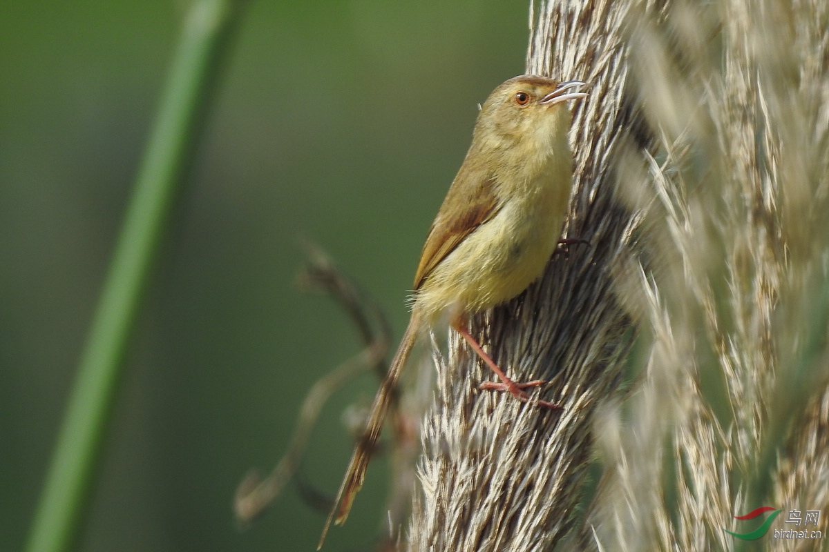 DSCN5277.JPG