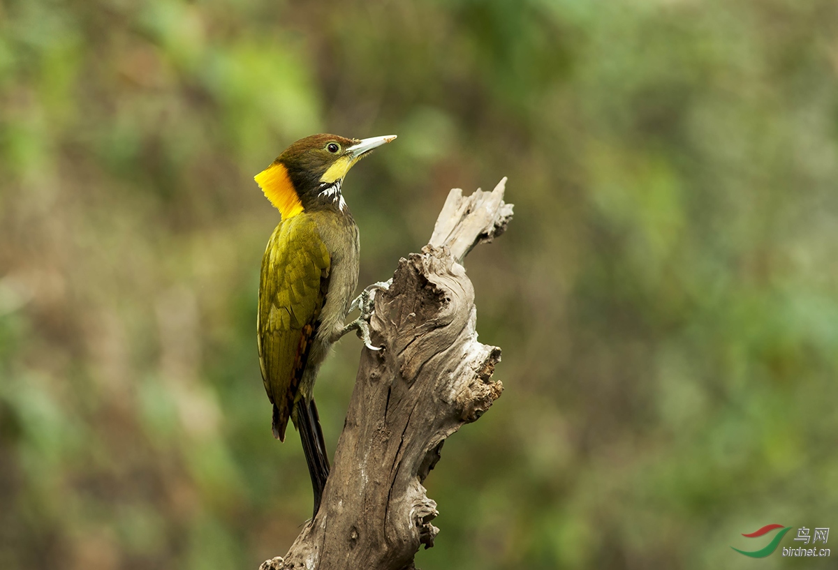 986 ����.jpg