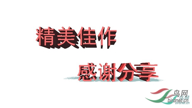 1 - ����.jpg