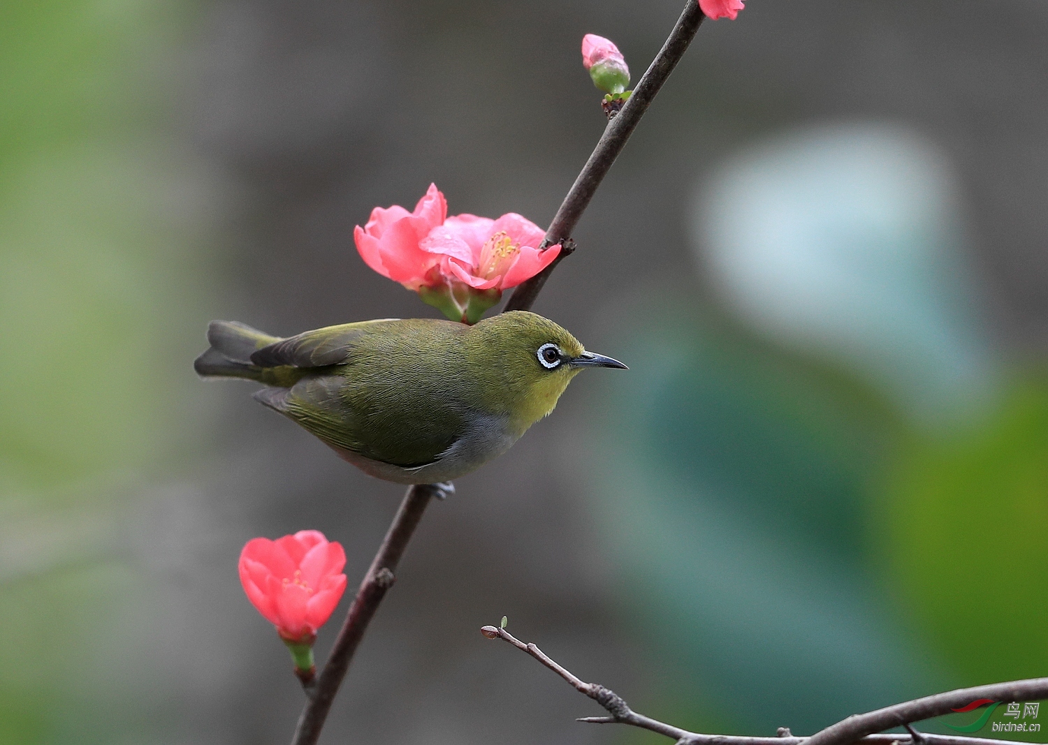 AI0I8287 - ����.JPG