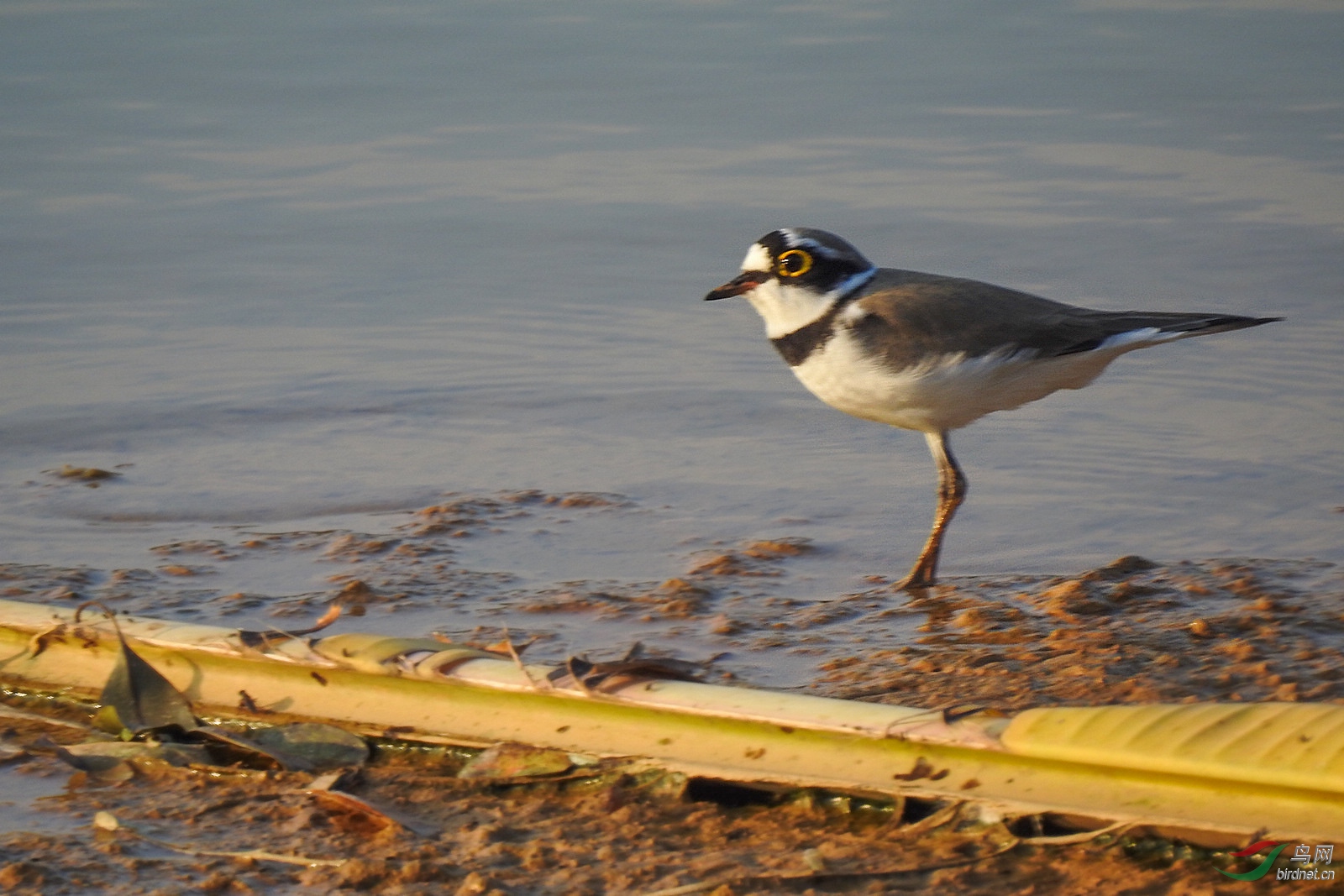 DSCN5381.JPG