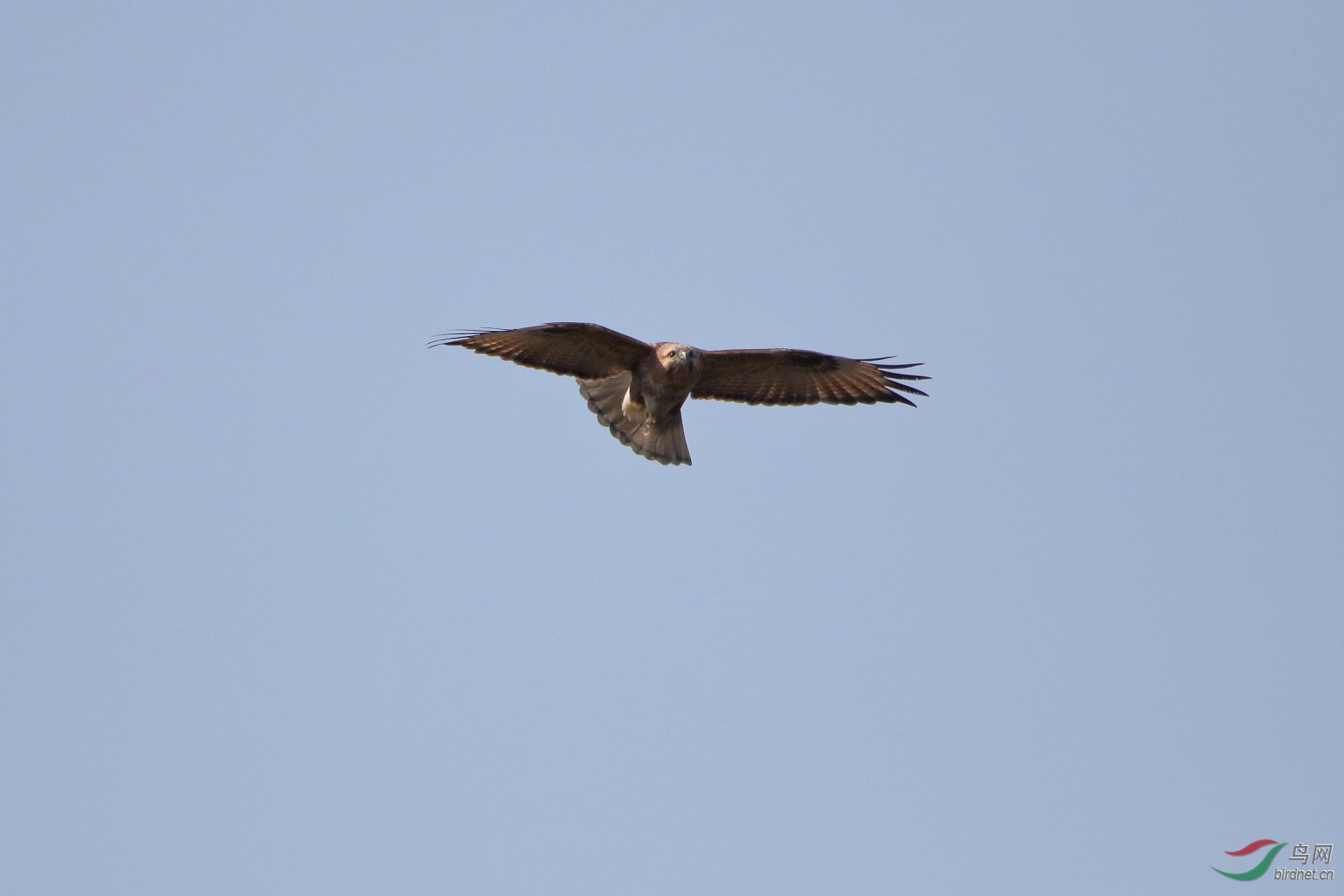 IMG_6003.JPG