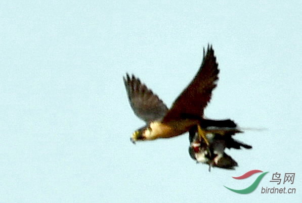 ���� ��Ƭ 130.jpg