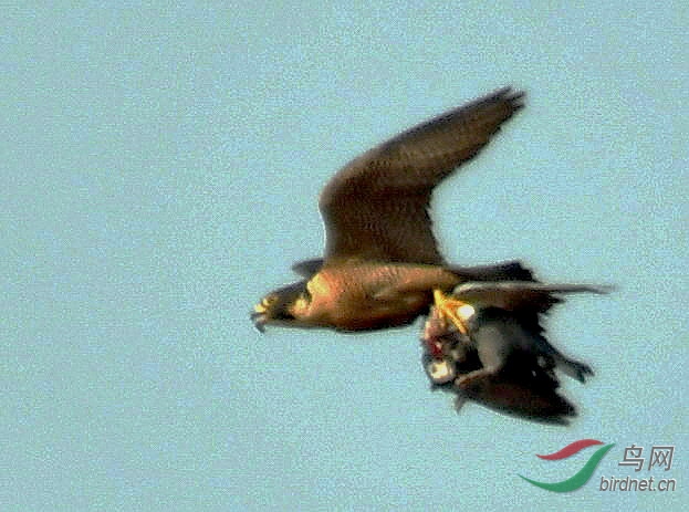 ���� ��Ƭ 145.jpg