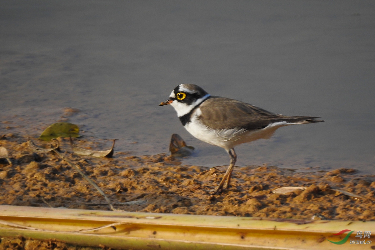 DSCN5564.JPG