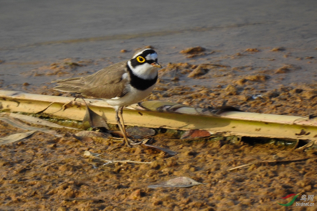DSCN5587.JPG