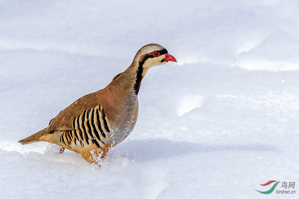 �����ں���ƽ��ɽȪˮ�塣