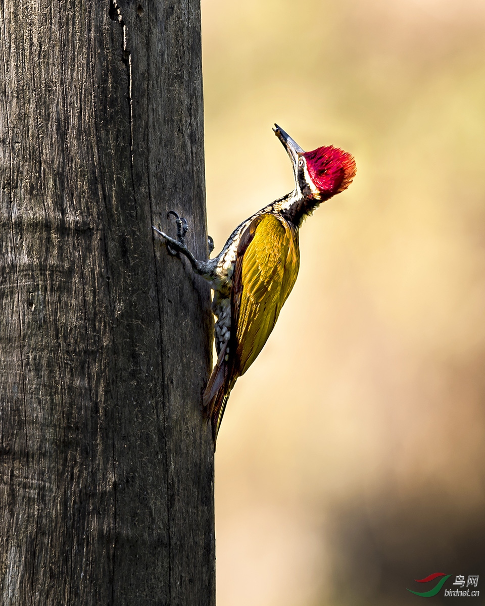 _DSC1077---A02-05--T.jpg