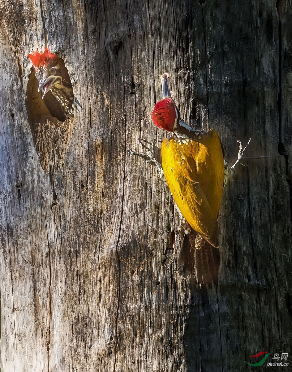 _DSC1215---A0205--B-T.jpg