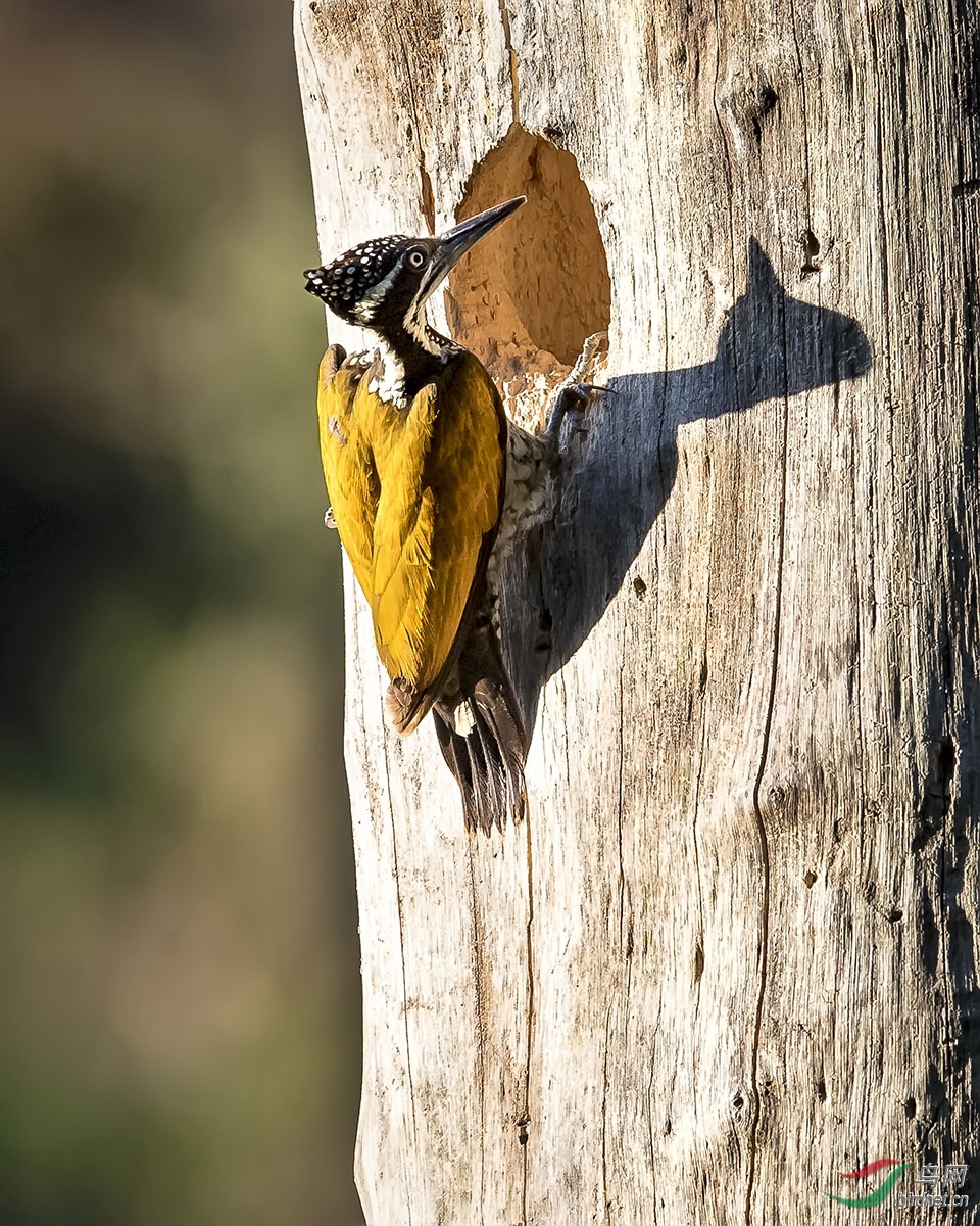 _DSC1591---A02-05---T.jpg